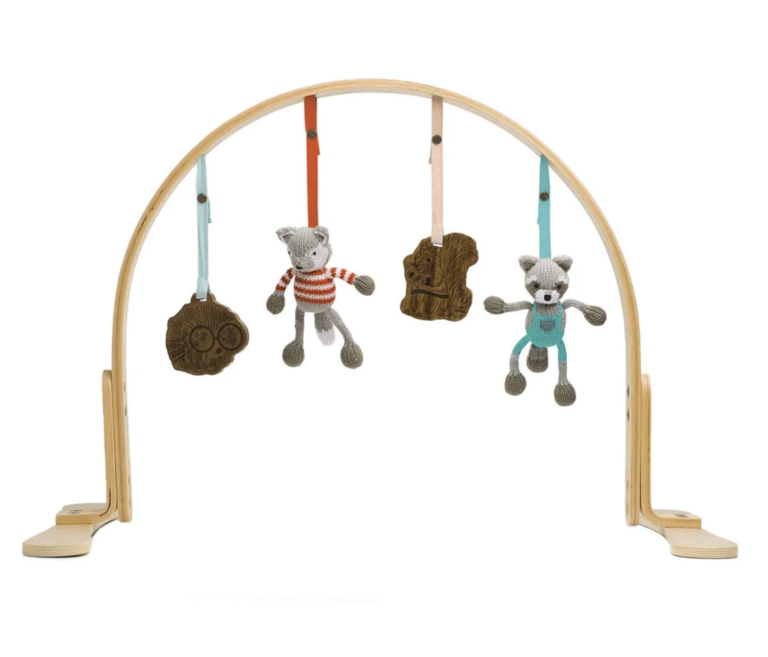 Finn and Emma Woodland Play Gym
