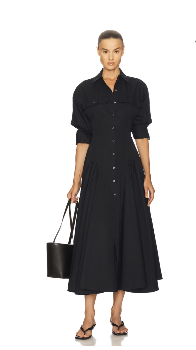 Helsa Godet Shirt Dress