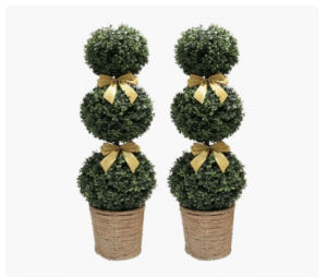 Boxwood Ball Topiary Trees