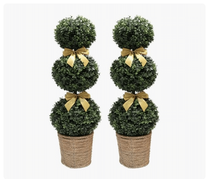 Boxwood Ball Topiary Trees