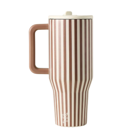 Stripe HydroJug Anthropologie