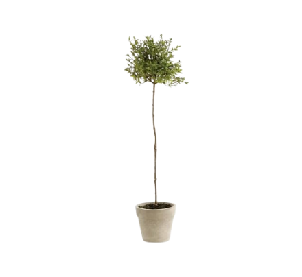 Thyme Artificial Plant